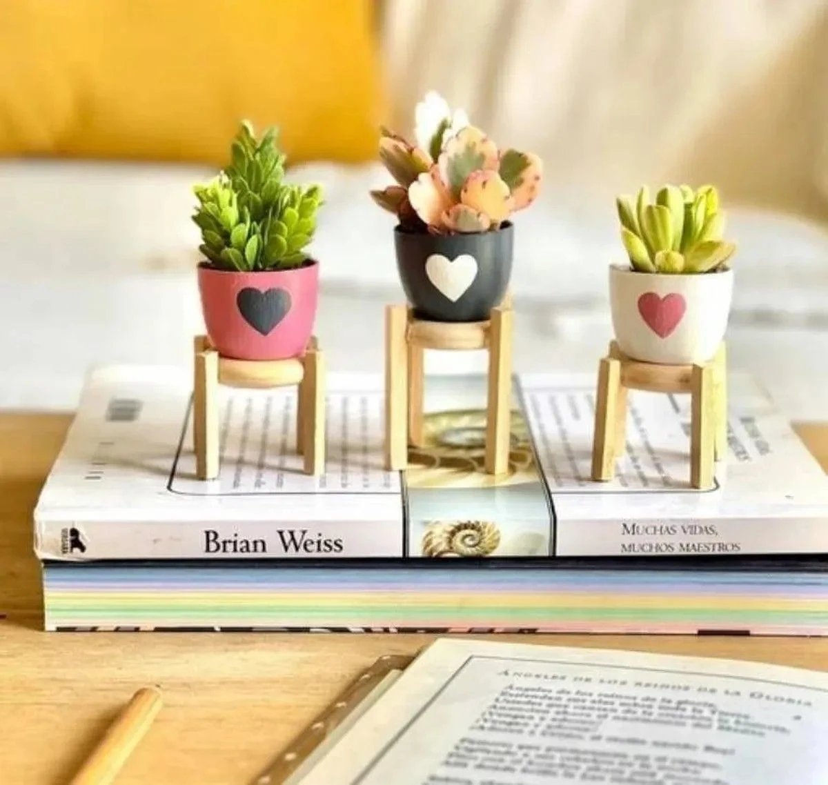 top-10-mon-qua-tang-thay-co-2011-y-nghia 3